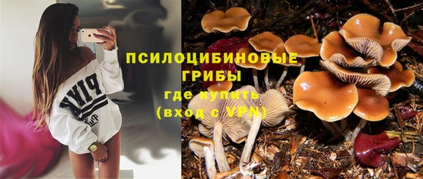 марихуана Баксан