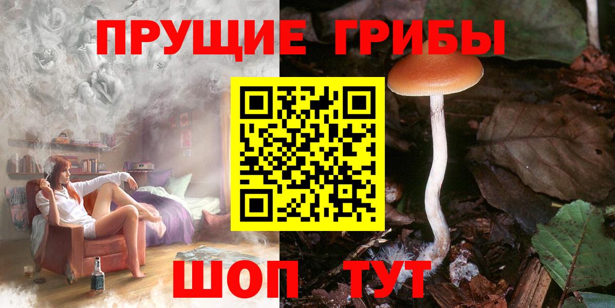 Псилоцибиновые грибы GOLDEN TEACHER  где продают   Борисоглебск  Вход с VPN 