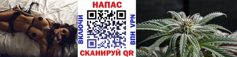 Бошки марихуана Ganja  hydra как войти  Борисоглебск 